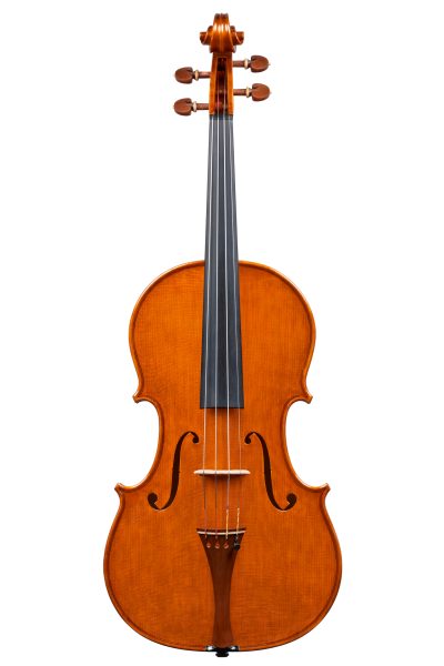 Viola