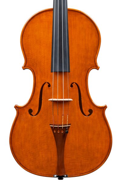 Viola
