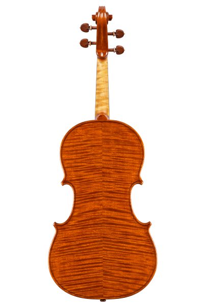 Viola