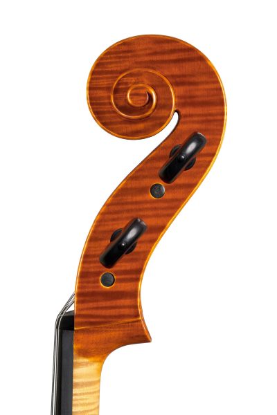 Violoncello