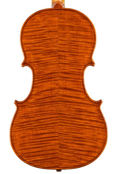 Viola