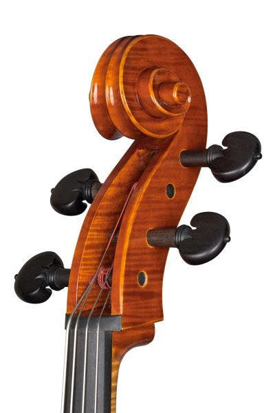 Violoncello