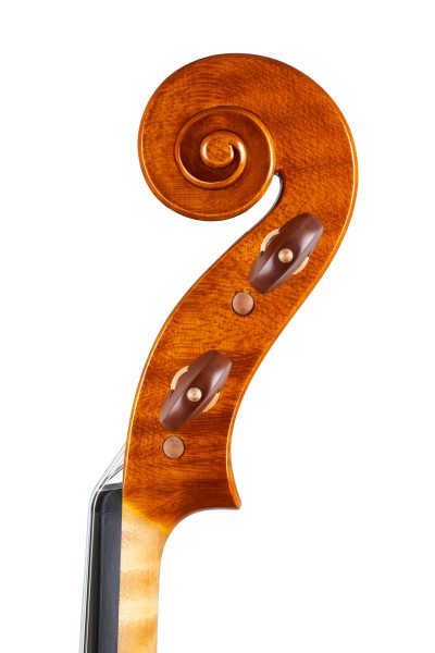 Viola