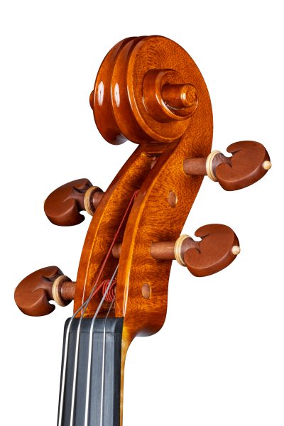 Viola